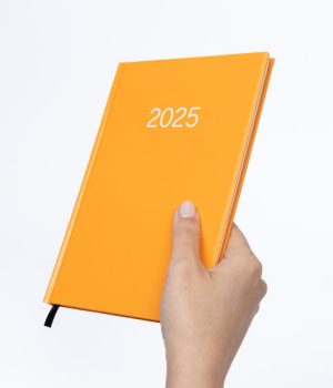New year diary